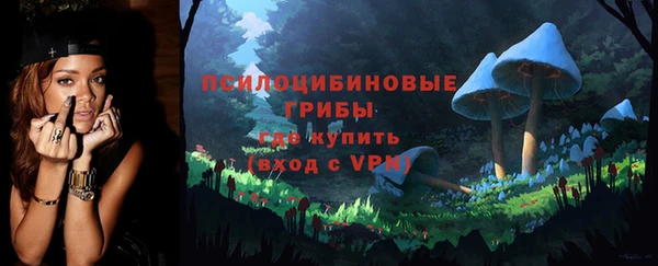 хмурый Алексеевка