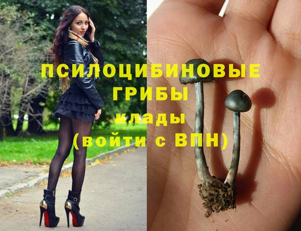 хмурый Алексеевка
